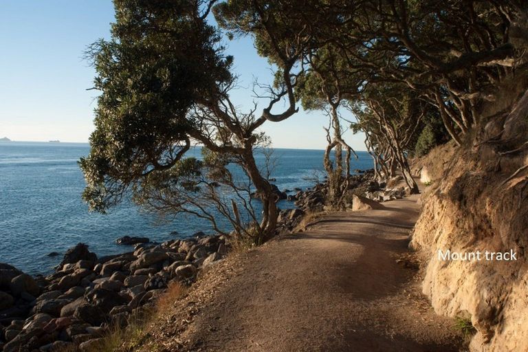 Photo of property in 40g Maunganui Road, Mount Maunganui, 3116