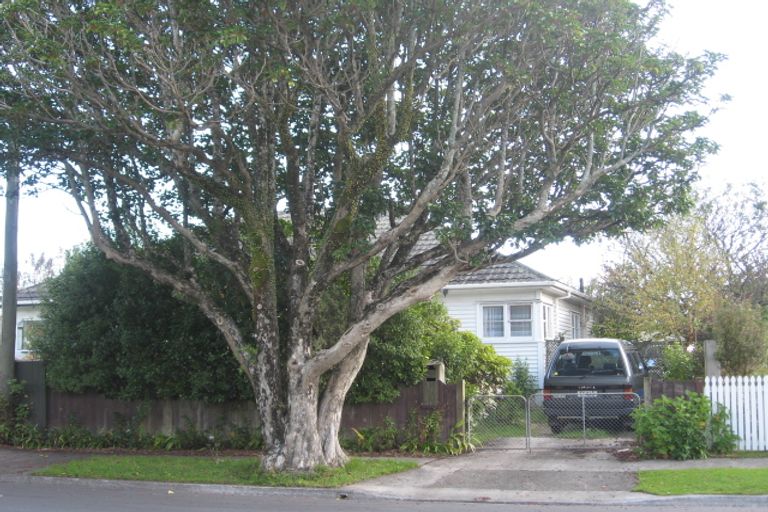 Photo of property in 43 Pilcher Crescent, Naenae, Lower Hutt, 5011