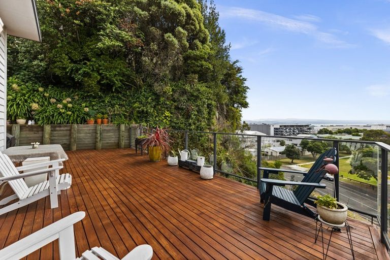 Photo of property in 17 Hospital Lane, Hospital Hill, Napier, 4110