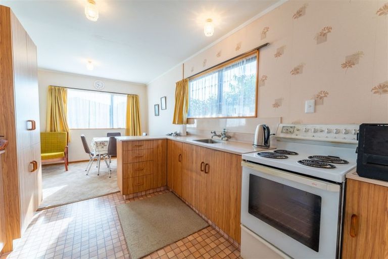 Photo of property in 9 Williamson Place, Geraldine, 7930