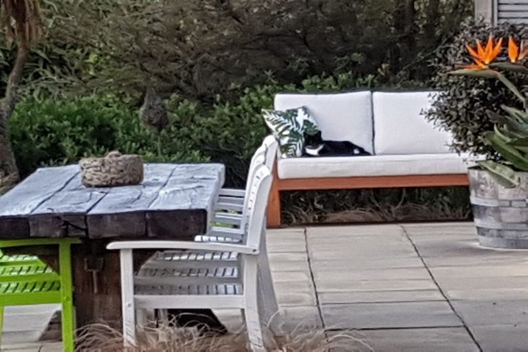 Photo of property in 19-21 Leicester Street, Picton, 7220