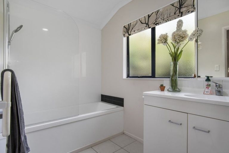 Photo of property in 63 Solomon Street, Brookfield, Tauranga, 3110
