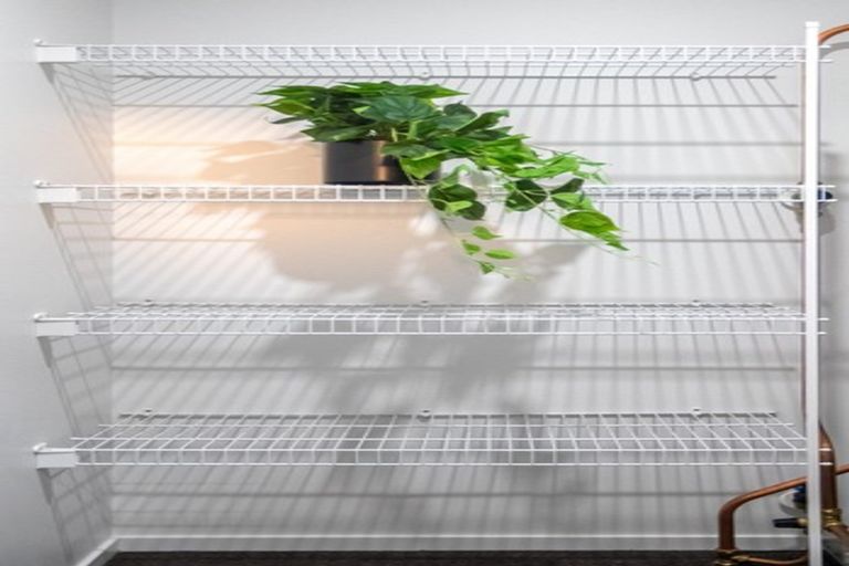 Photo of property in 65 Probert Crescent, Chartwell, Hamilton, 3210