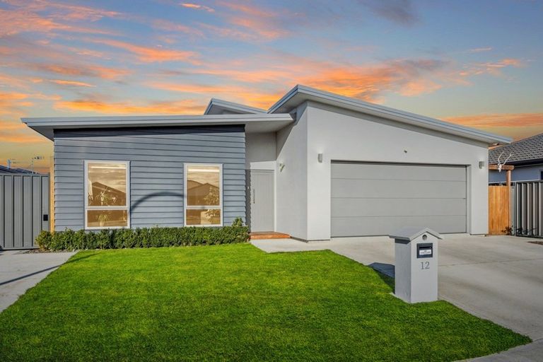 Photo of property in 12 Manganui Place, Te Awa, Napier, 4110