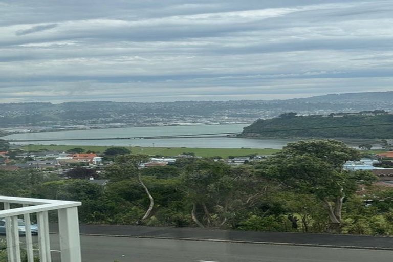 Photo of property in 18 Highcliff Road, Andersons Bay, Dunedin, 9013