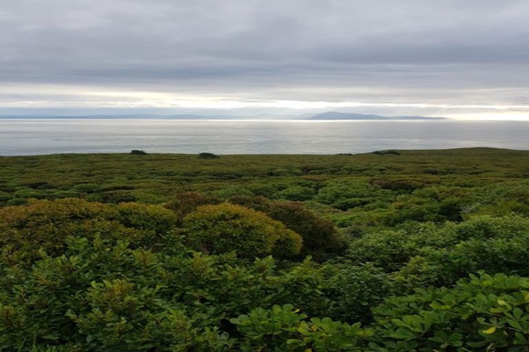 Photo of property in 5 Budd Street, Bluff, 9814