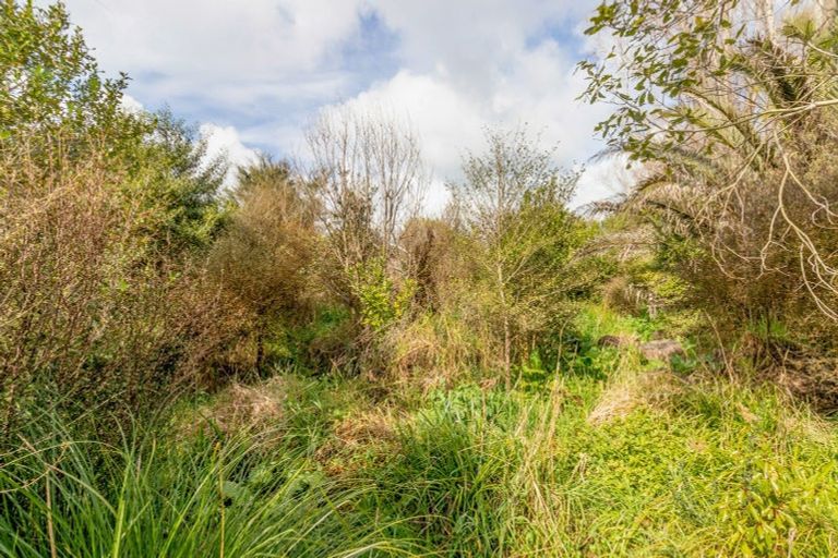 Photo of property in 55 Station Road, Paeroa, 3600