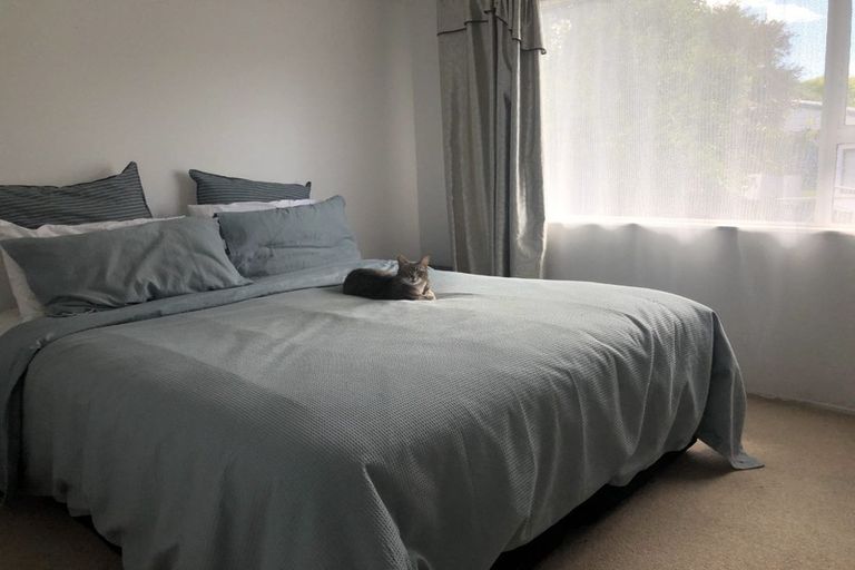 Photo of property in 1/100 Lynn Road, Bayview, Auckland, 0629