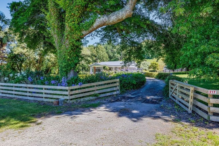 Photo of property in 217 Caves Road, Te Ore Ore, Masterton, 5886