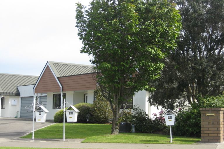 Photo of property in 9c Logan Place, Blenheim, 7201