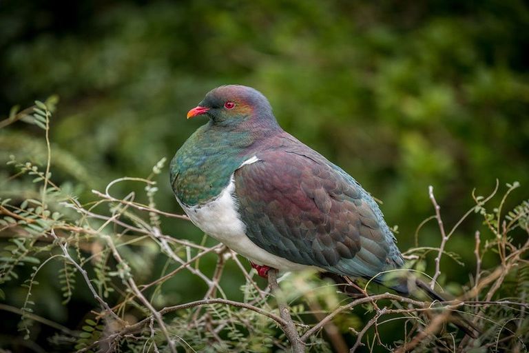 Photo of property in 64 Motuhara Road, Plimmerton, Porirua, 5026
