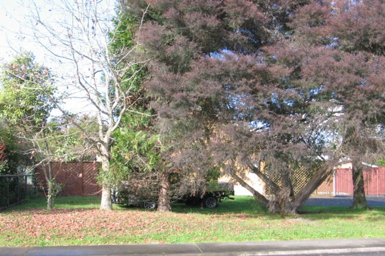 Photo of property in 496a Thames Street, Morrinsville, 3300