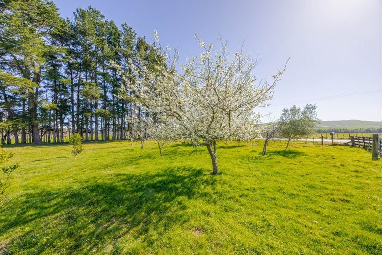 Photo of property in 537 Lake Road, Flemington, Waipukurau, 4282