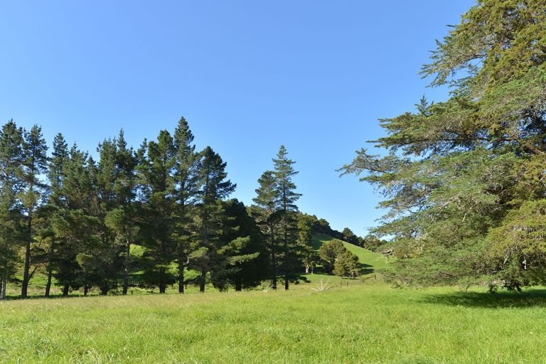 Photo of property in 127 Mcbreen Road, Hikurangi, 0181