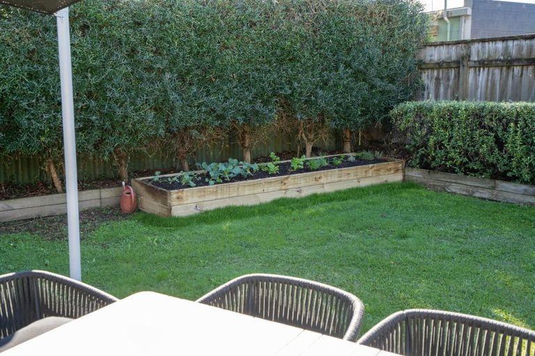 Photo of property in 3 Alfred Back Place, Cambridge, 3434