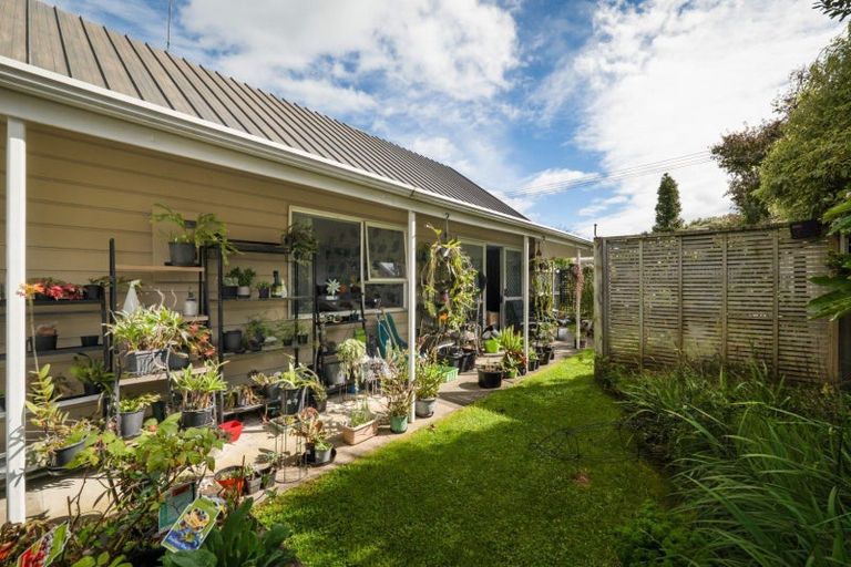 Photo of property in 75a Consols Street, Waihi, 3610
