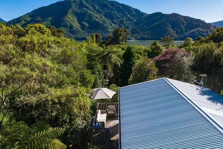 Photo of property in 786 Queen Charlotte Drive, Havelock, Picton, 7281