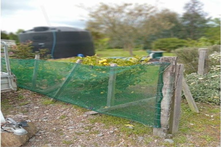 Photo of property in 84 Henderson Street, Kimbolton, 4774