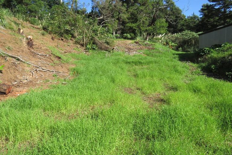 Photo of property in 164 Komiti Road, Tinopai, 0593