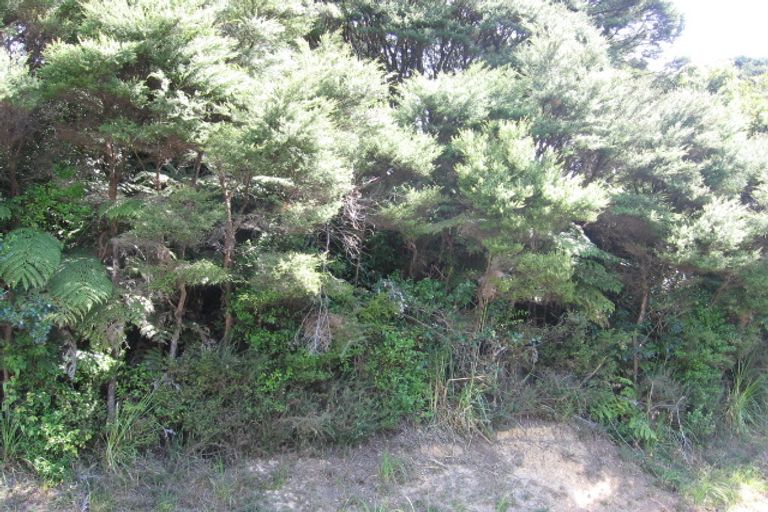 Photo of property in 116 Queens Drive, Oneroa, Waiheke Island, 1081