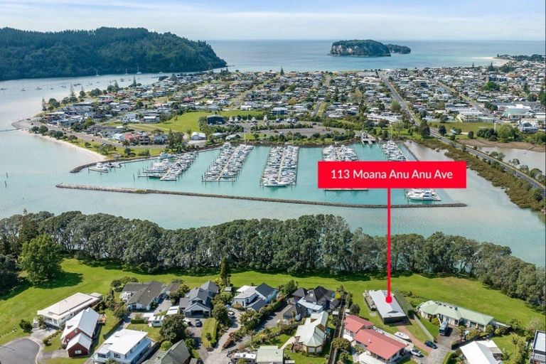 Photo of property in 113 Moana Anu Anu Avenue, Whangamata, 3620
