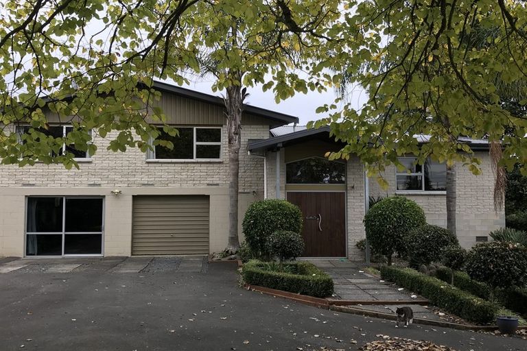 Photo of property in 50 Ross Street, Pirongia, 3802