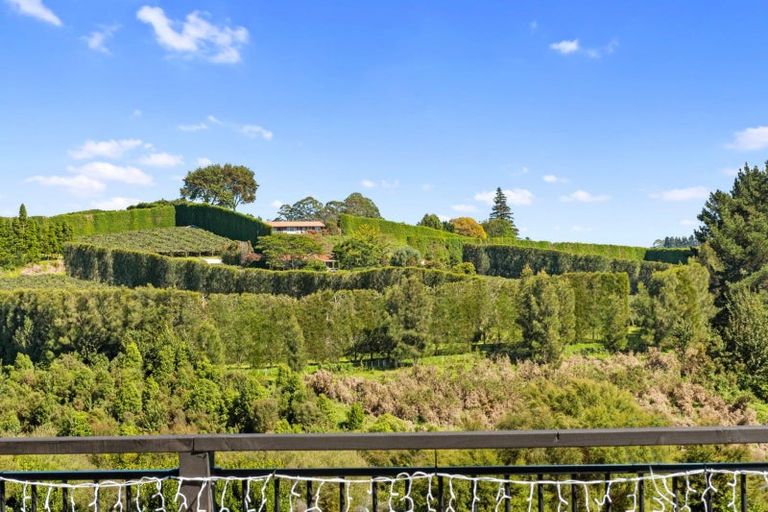 Photo of property in 56 Puhirake Crescent, Pyes Pa, Tauranga, 3112