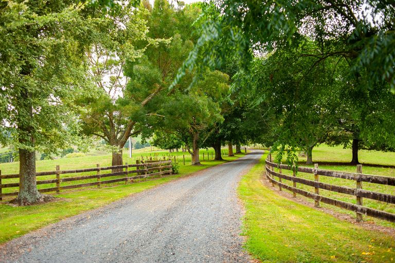Photo of property in 598 Mangaorongo Road, Otorohanga, 3972