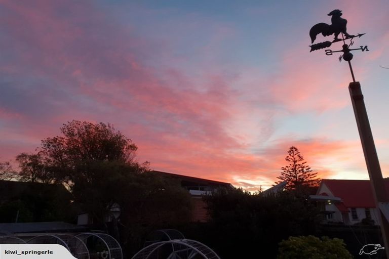 Photo of property in 145 Kings Crescent, Hutt Central, Lower Hutt, 5010