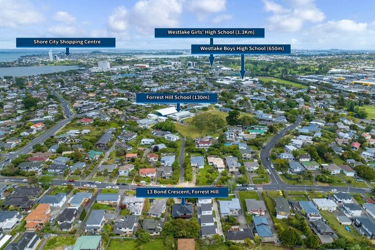 Photo of property in 13 Bond Crescent, Forrest Hill, Auckland, 0620