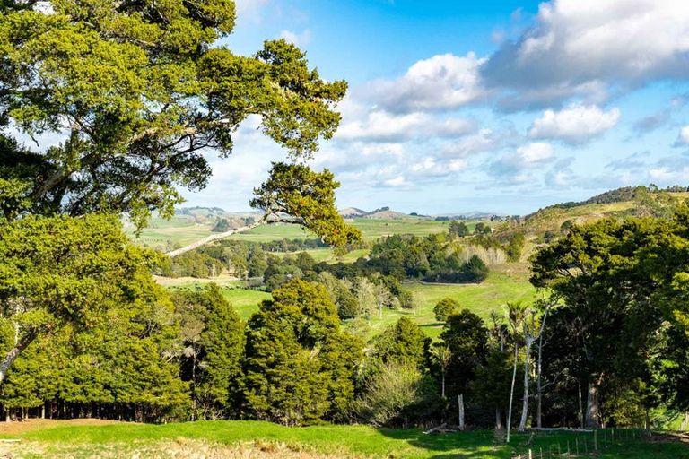 Photo of property in 251 Griffin Road, Maungaturoto, 0583