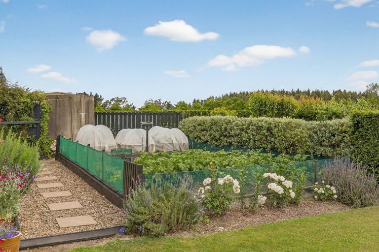 Photo of property in 225 Marshmans Road, Ashley, Rangiora, 7477