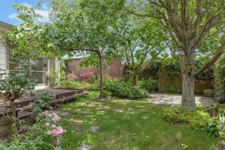 Photo of property in 60d Mclauchlan Street, Springlands, Blenheim, 7201