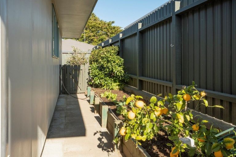 Photo of property in 59b Mansels Road, Greerton, Tauranga, 3112