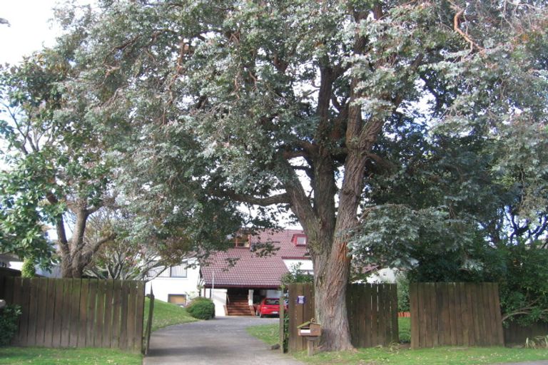 Photo of property in 45 Te Ngaio Road, Mount Maunganui, 3116