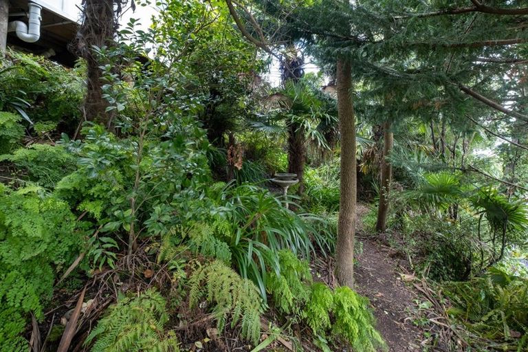 Photo of property in 5a Corry Avenue, Bluff Hill, Napier, 4110