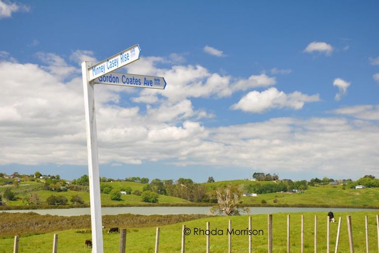 Photo of property in 41 Minnie Casey Rise, Matakohe, 0593