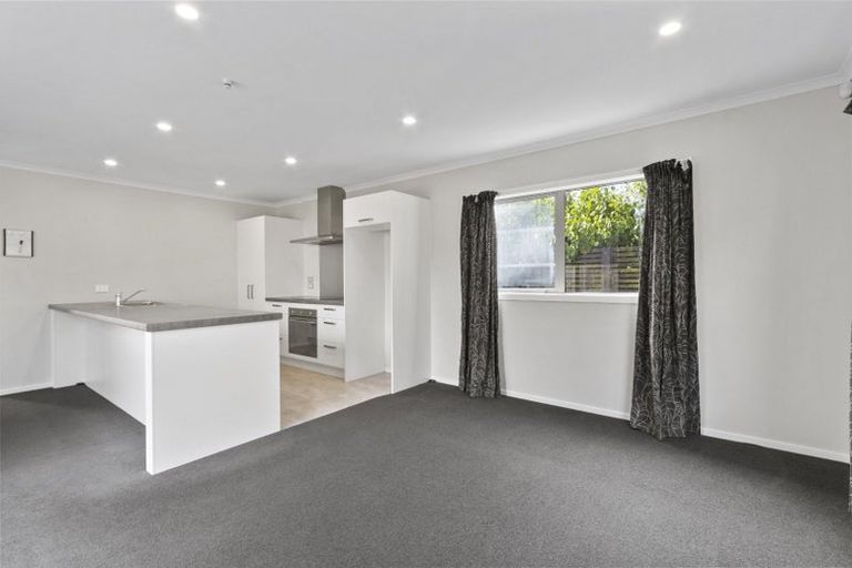 Photo of property in 51 Tennille Street, Flagstaff, Hamilton, 3210