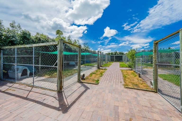 Photo of property in 1981 Omakau Chatto Ck Road, Chatto Creek, Alexandra, 9393