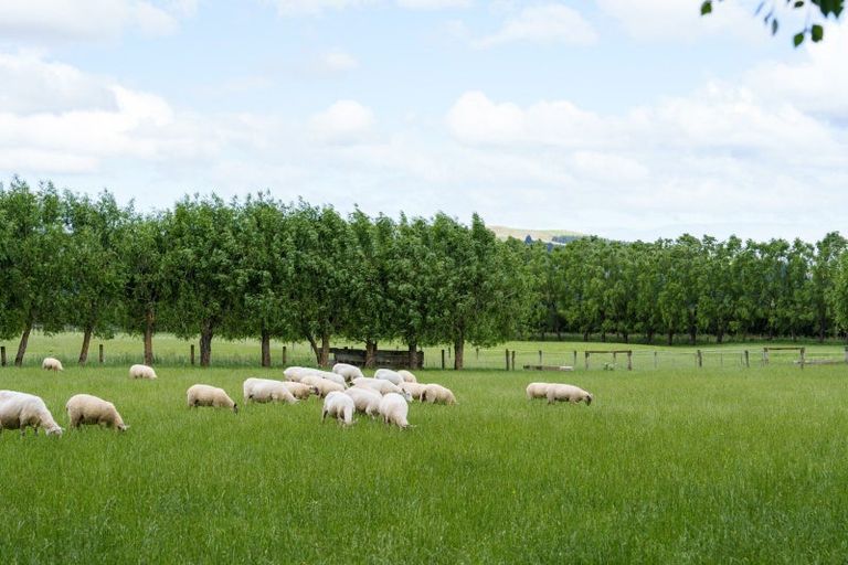 Photo of property in 280 Wairongoa Road, North Taieri, Mosgiel, 9092