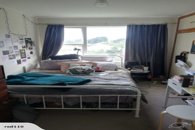 Photo of property in 133 Britomart Street, Berhampore, Wellington, 6023