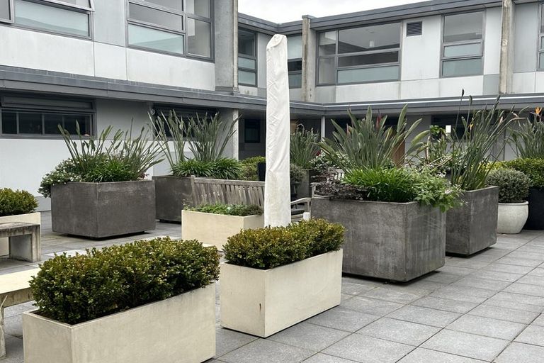 Photo of property in 221/23 Edwin Street, Mount Eden, Auckland, 1024