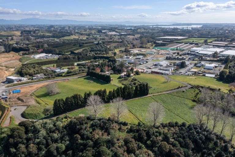 Photo of property in 19 Minden Road, Minden, Tauranga, 3176