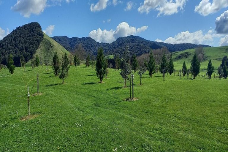 Photo of property in 151 Makgill Road, Maungatautari, Cambridge, 3494