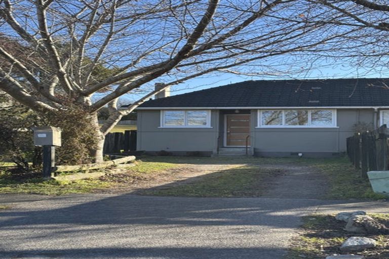Photo of property in 49 Miller Street, Glenholme, Rotorua, 3010