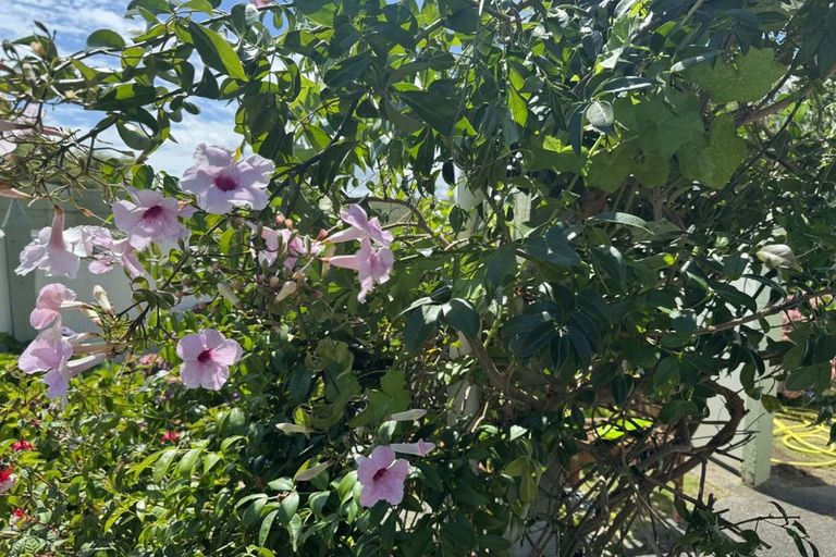 Photo of property in 19 Chums Road, Paraparaumu Beach, Paraparaumu, 5032