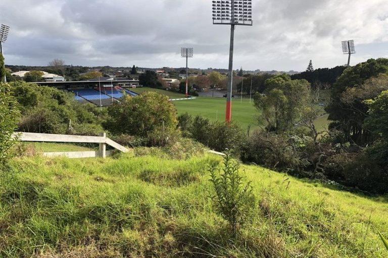 Photo of property in 20a East Street, Terrace End, Palmerston North, 4410