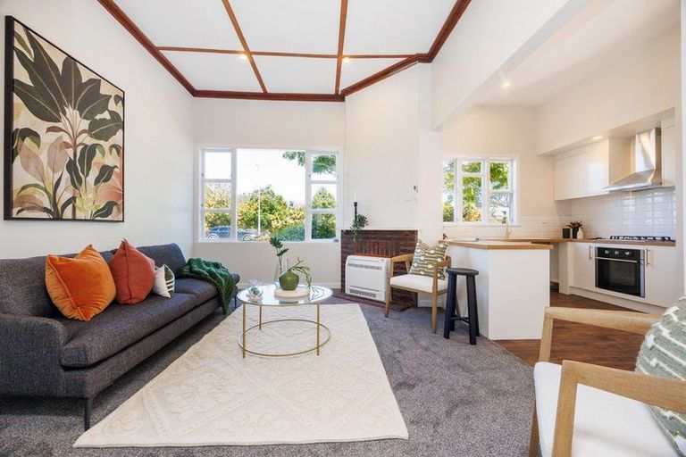 Photo of property in 45 Limbrick Street, Terrace End, Palmerston North, 4410