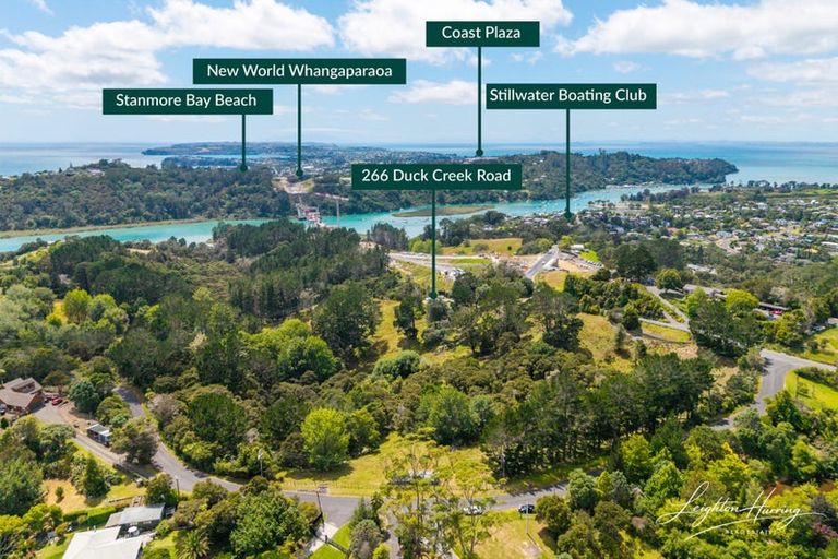 Photo of property in 266 Duck Creek Road, Stillwater, Silverdale, 0993