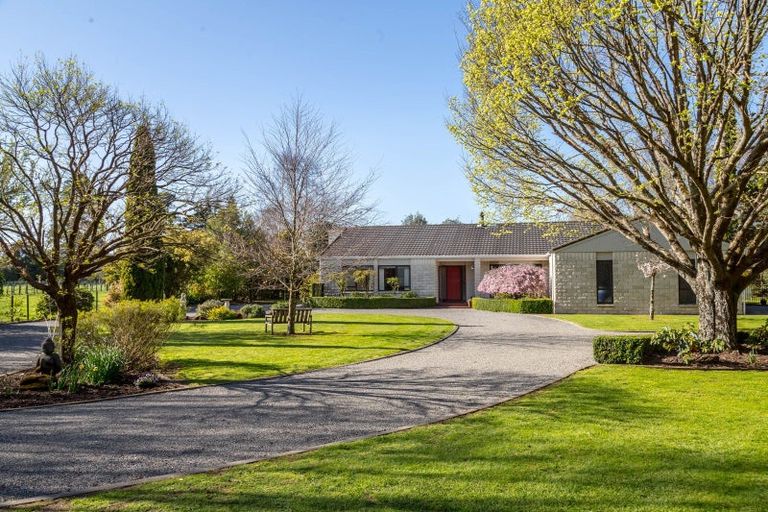 Photo of property in 175 Lincoln Road, Carterton, 5713